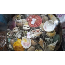 Deniz Kabuğu Tasarımlı Şık Anahtarlık