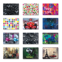 Fly Baskılı Çıtçıtlı Plastik A4 Zarf Dosya Tekli