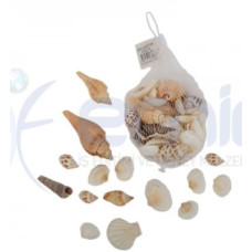 Filede Karışık Küçük Boy Deniz Kabuğu (Model 2)