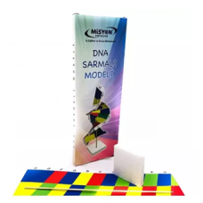 Okul Deney Seti: DNA Sarmalı Modeli Misyon