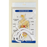 Sindirim Sistemi Deney ve Maket Seti