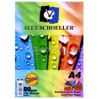 Alex Schoeller A4 Renkli Fotokopi Kağıdı 10 Renk 100'lü