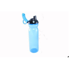 Mavi Gravürlü Matara 0,75 Litre