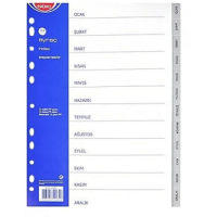 Noki A4 Plastik Aydan Aya (Ocak-Aralık) Seperatör Ayraç