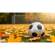 Parlak Yüzeyli Standart Futbol Topu Parlak Yüzeyli Standart Futbol Topu